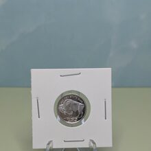 1/10oz Buffalo front view