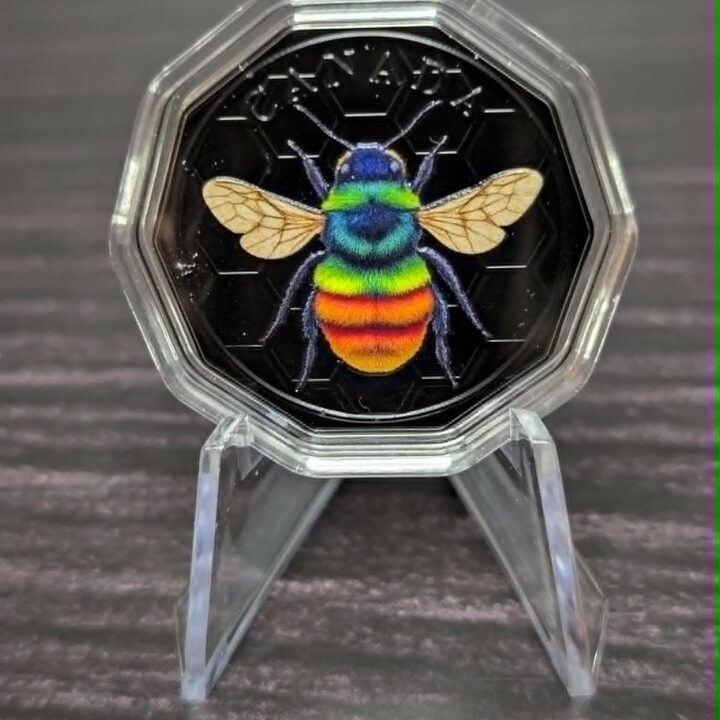 Bee