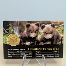 Eurasian Brown Bear alternate view