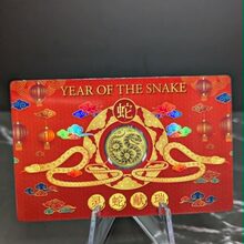Year Of The Snake front view