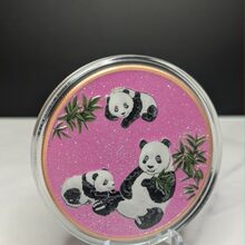 Panda Family front view