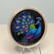 Colourized Peacock front view