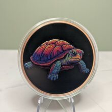 Colourized Turtle front view