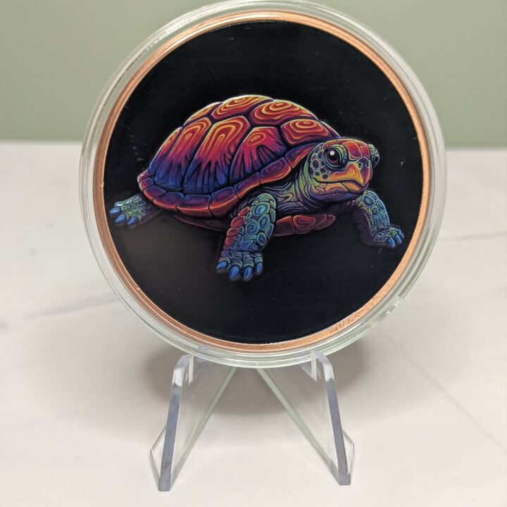 Colourized Turtle