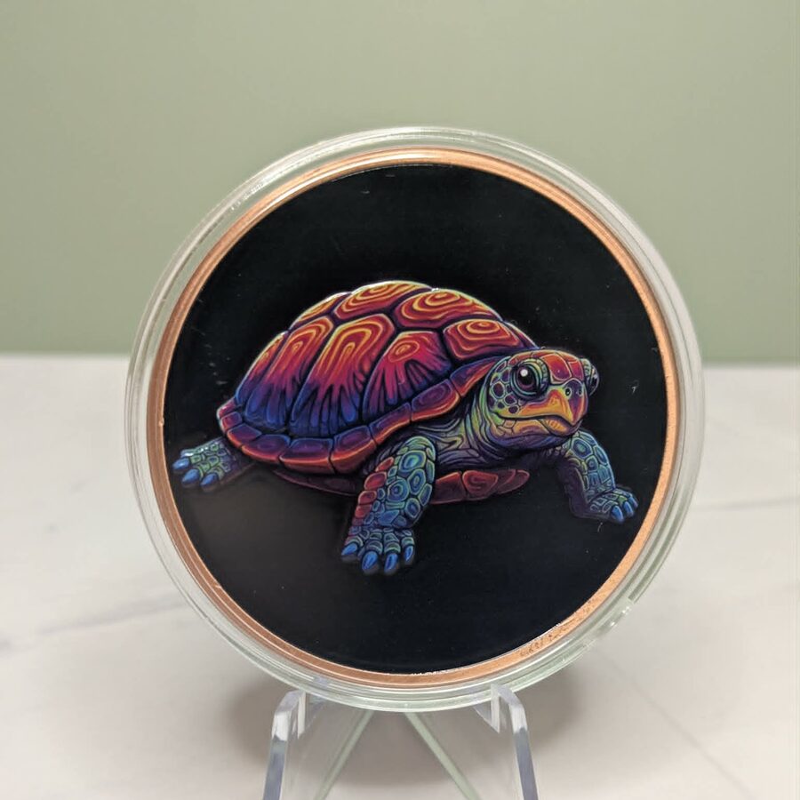 Colourized Turtle
