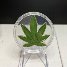 Cannabis Leaf alternate view