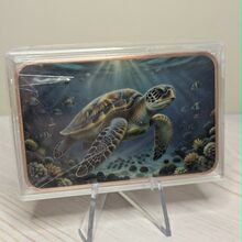 Sea Turtle front view