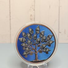 Money Tree front view