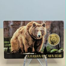 Eurasian Brown Bear front view