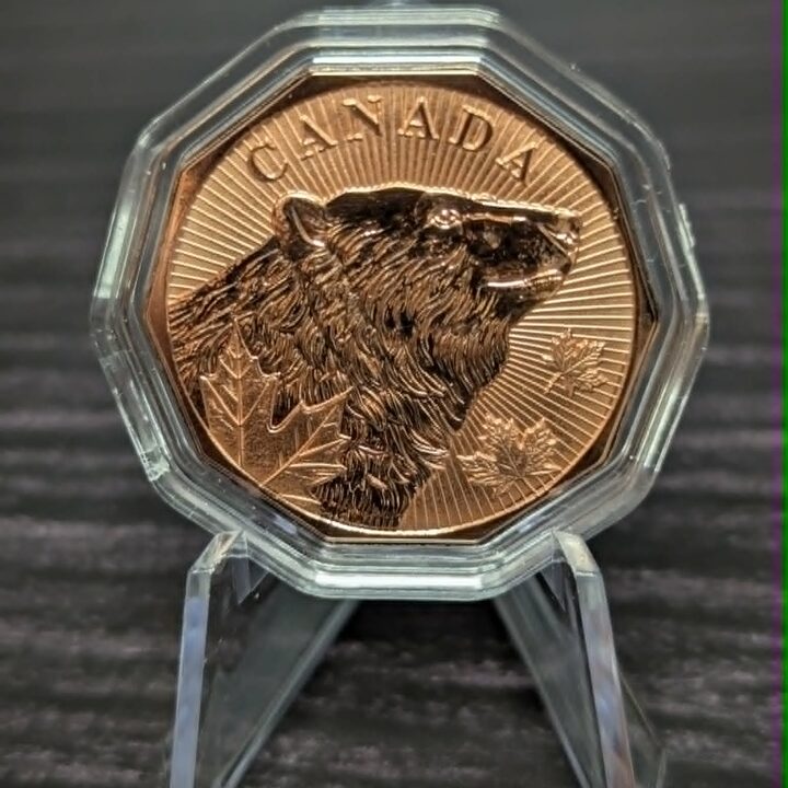 Canadian Bear