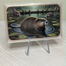Beaver front view