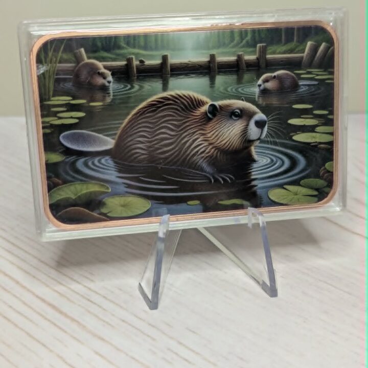 Beaver
