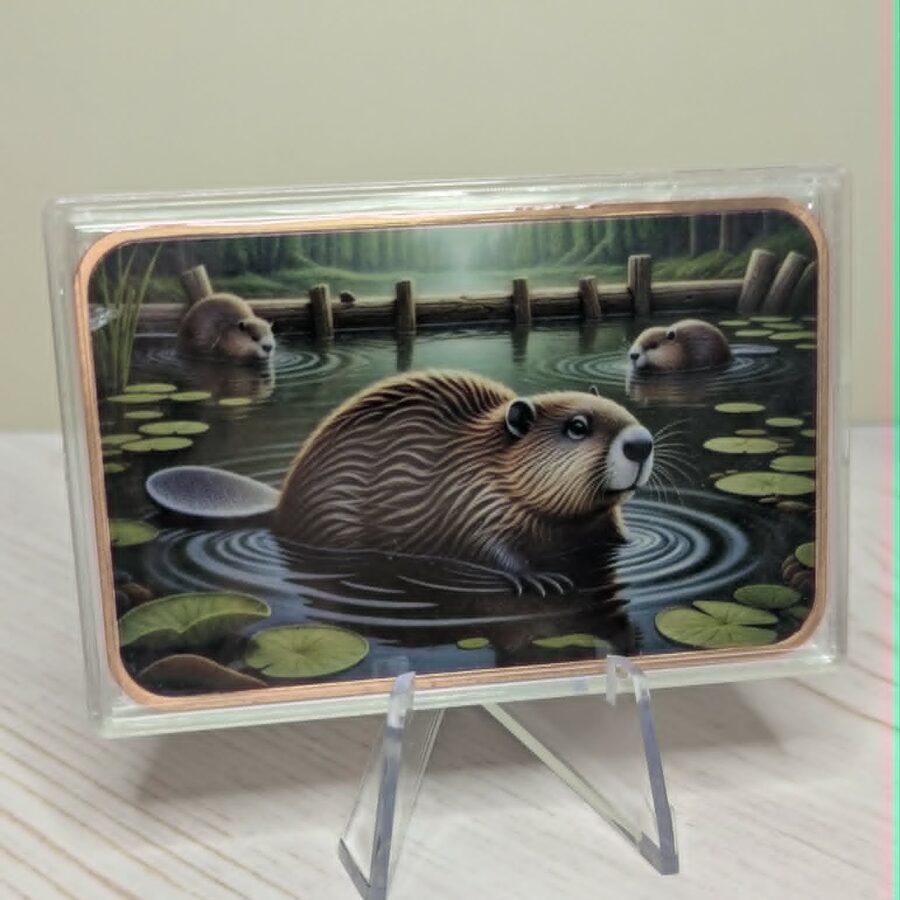 Beaver
