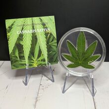 Cannabis Leaf front view