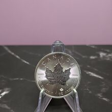 Silver Maple front view