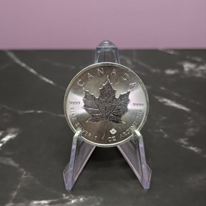 Silver Maple