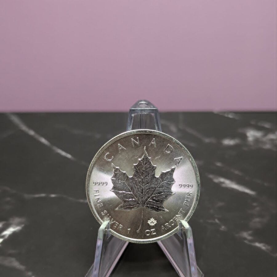 Silver Maple