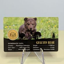 Grizzly Bear alternate view