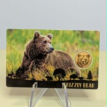 Grizzly Bear front view