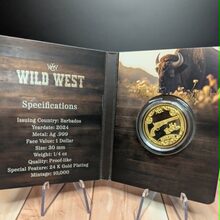 Wild West alternate view
