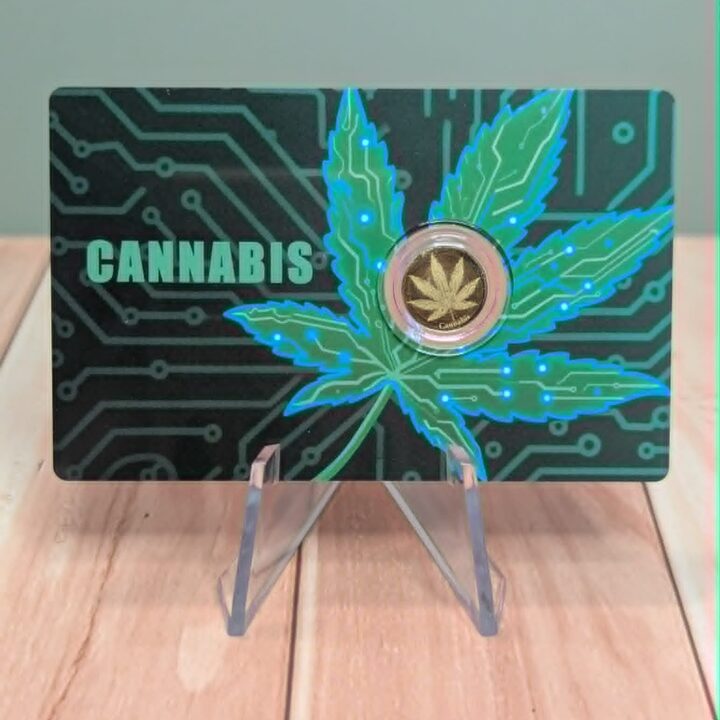 Cannabis
