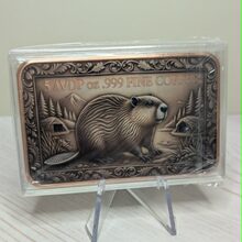 Beaver alternate view